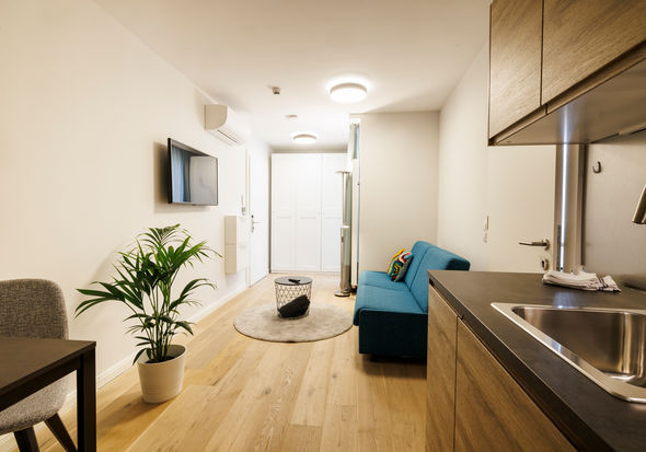 The well-equipped kitchen-living room in the Apartment.